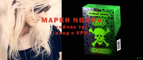 хмурый Осинники