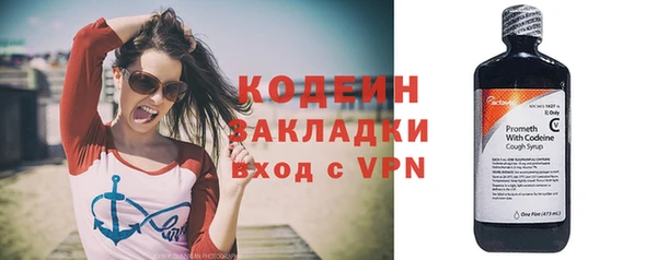 хмурый Осинники