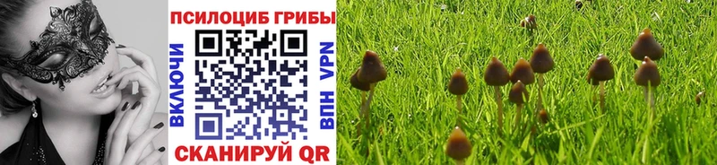 сайты даркнета Telegram  hydra вход  Неман  Псилоцибиновые грибы Cubensis 