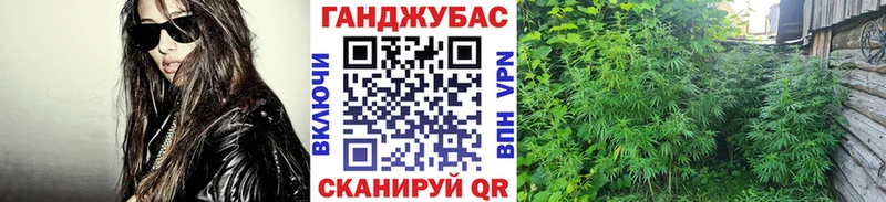 Бошки Шишки планчик  Неман 